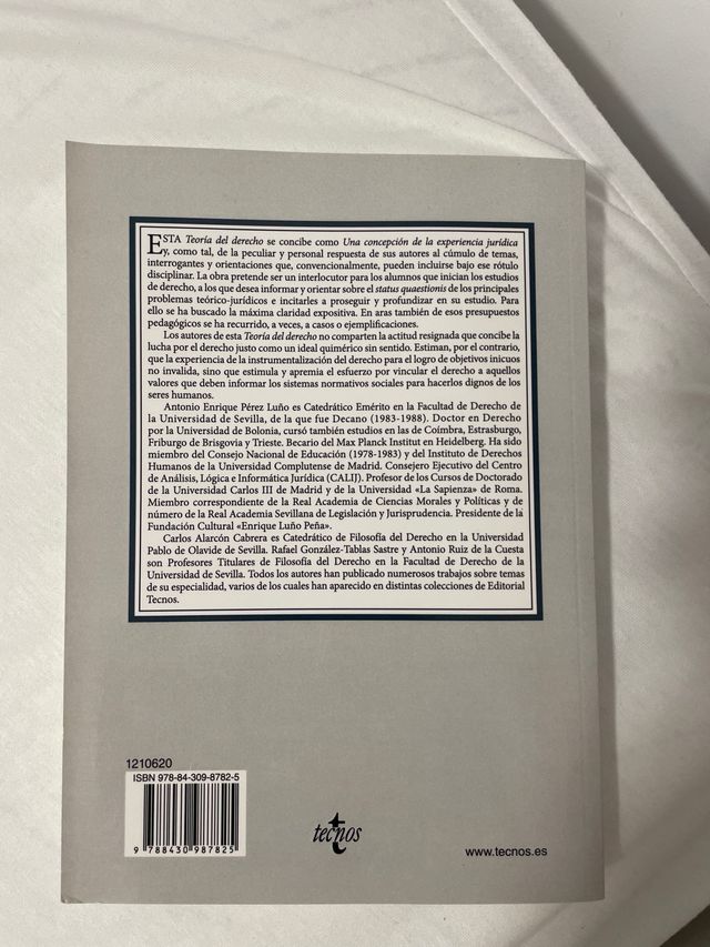 Teoría del Derecho: Una concepción de la experi...