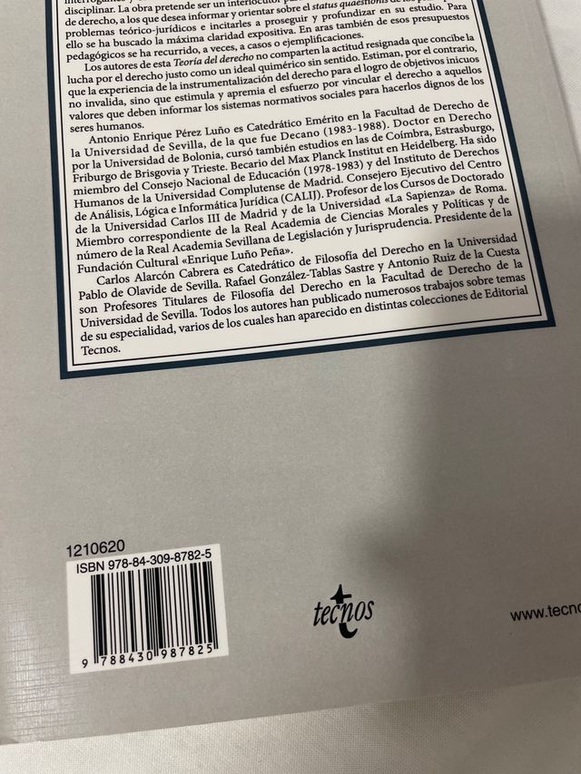 Teoría del Derecho: Una concepción de la experi...