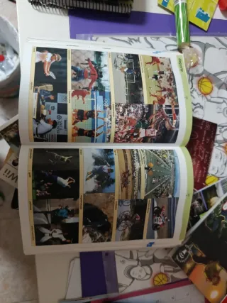 Diccionario Nivel Básico - Primaria (Spanish Ed...