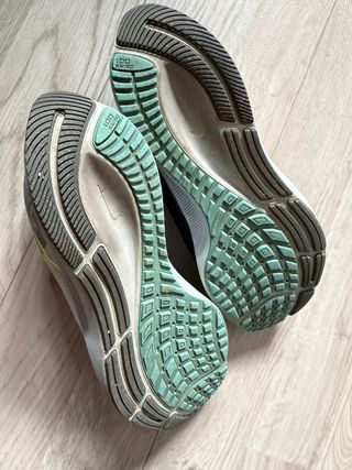 Zapatillas Nike Air Pegasus 38 (coleccionista)