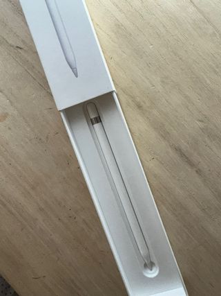 Apple Pencil di prima generazione con adattatore incluso.