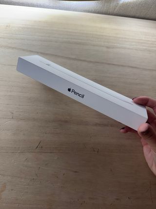 Apple Pencil di prima generazione con adattatore incluso.