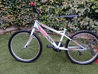 Bicicleta Montaña Juvenil Freerider