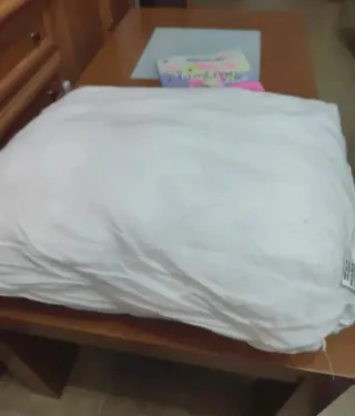 3 Rellenos de Cojín Blancos