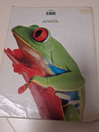 Libros de texto de 1° de bachiller 