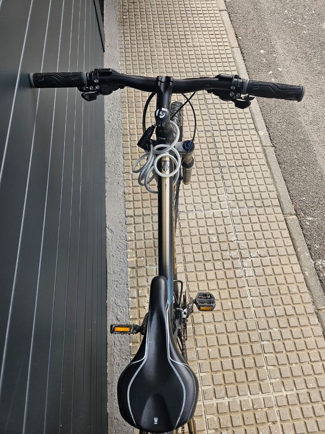 Bicicleta Trek