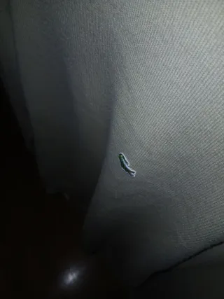 Jersey Lacoste Verde Oliva