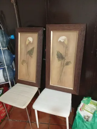 Juego de 2 cuadros de flores