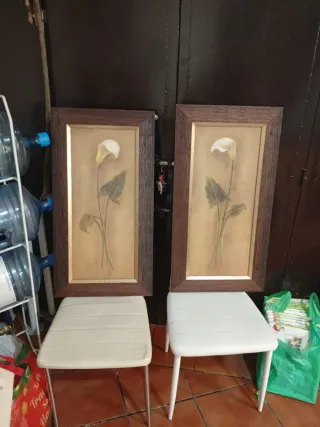 Juego de 2 cuadros de flores