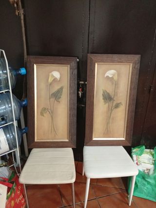Juego de 2 cuadros de flores