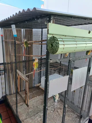 Pajarera / Voladera para pájaros