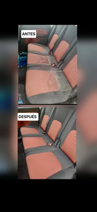 Limpieza al detalle y profesional