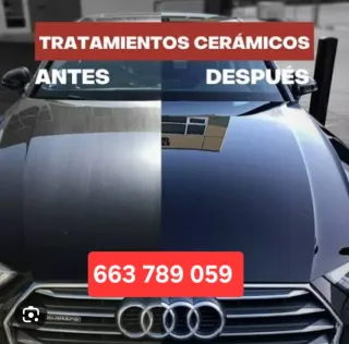 Limpieza al detalle y profesional