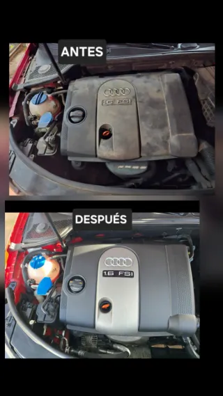 Limpieza al detalle y profesional