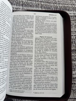 Biblia RVR 1960 héroes