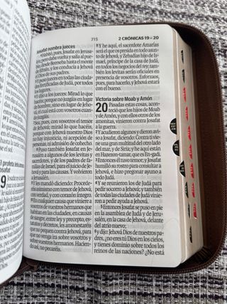 Biblia RVR 1960 letra grande