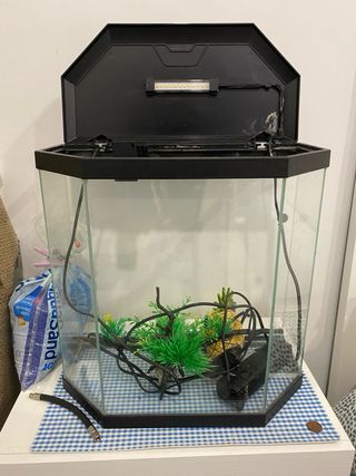 Acuario hexagonal con luz LED
de 25 l .