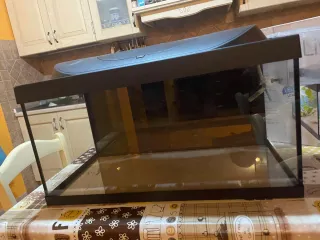 Acquario da riproduzione Tetra Starter Line 54L