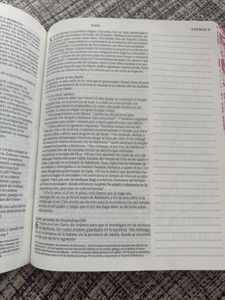 Biblia Inspira NTV, letra grande con Filament