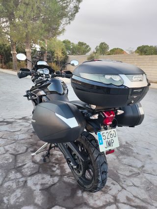 Triumph Tiger XRx 800