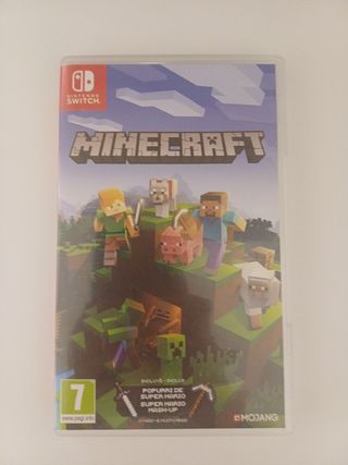 Minecraft Nintendo Switch