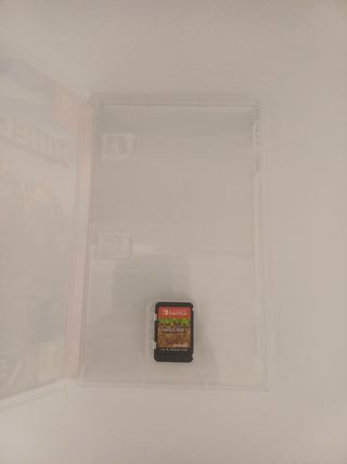 Minecraft Nintendo Switch