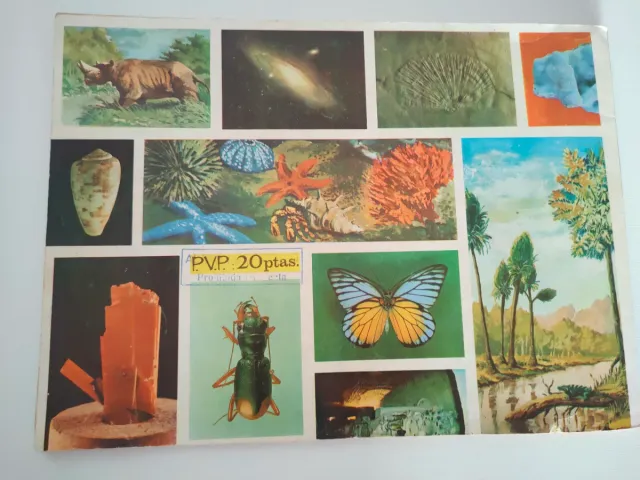 Álbum Geo-Ciencias 1967