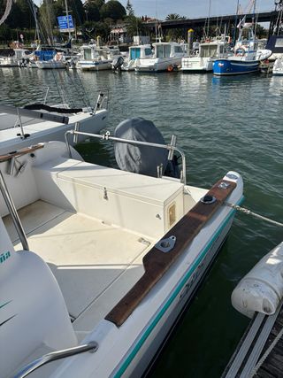 Barco Pesca-Paseo en perfecto estado