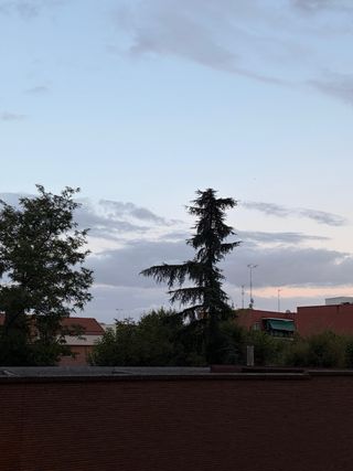 Alquiler de Habitación (Alcalá de Henares)