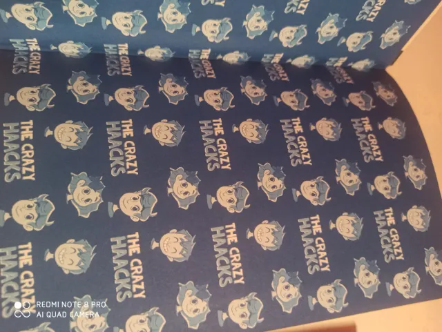 The Crazy Haacks y el misterio del anillo (Seri...