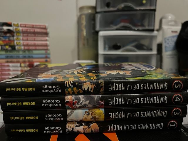 Guardianes de la noche