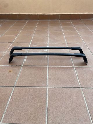 Barras para techo de coche, marca FeuVert