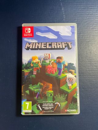 Minecraft Nintendo Switch