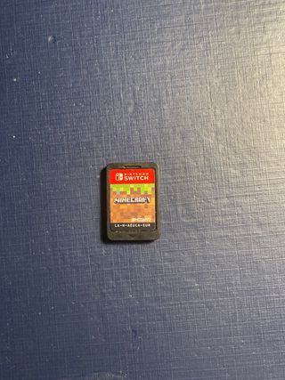 Minecraft Nintendo Switch