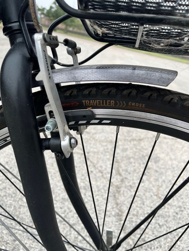 Bici da donna Elios con cestino