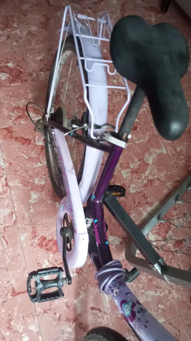 Bicicleta morada infantil