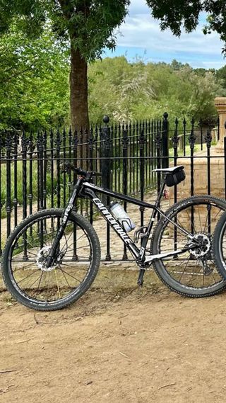 Bicicletta in carbonio Cannondale 
Sostituzione per ghiaia 