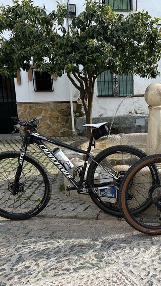 Bicicletta in carbonio Cannondale 
Sostituzione per ghiaia 