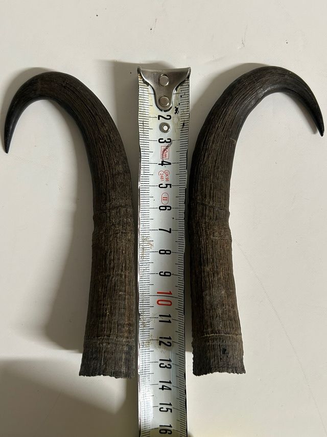 Amuletos de resina