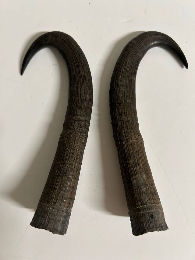 Amuletos de resina
