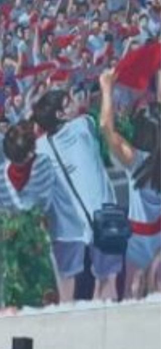 Funda Cámara Fotos Samsonite Trekking Única (1/1)