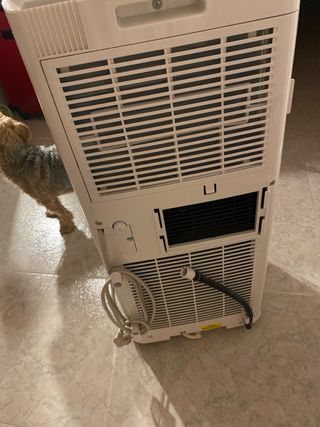 Pingüino Frío y Calor Daitsu