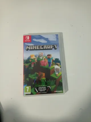 Minecraft Nintendo Switch
