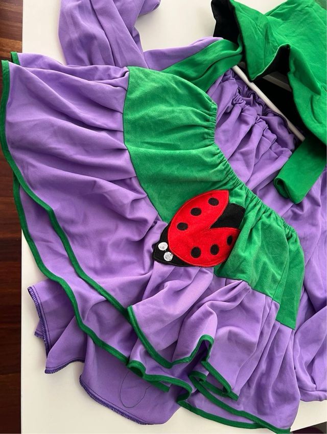 Disfraz Duende Morado y Verde