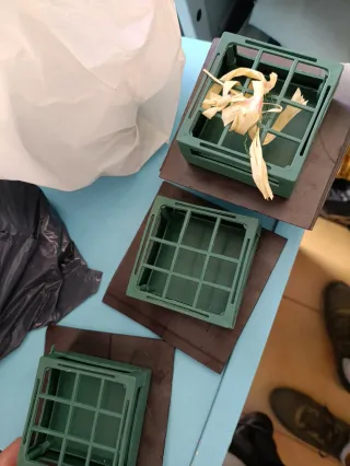 Imanes para coche de boda