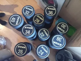 Mancuernas Ziva (22-40 kg)