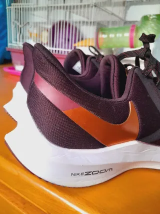 Nike Zoom Winflo 6 Burdeo y dorado 