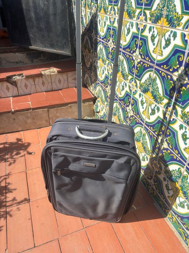 Maleta de viaje y neceser gris