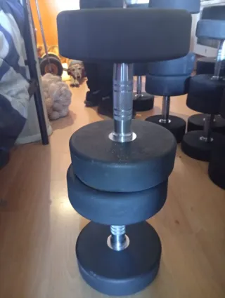Mancuernas Ziva 22kg