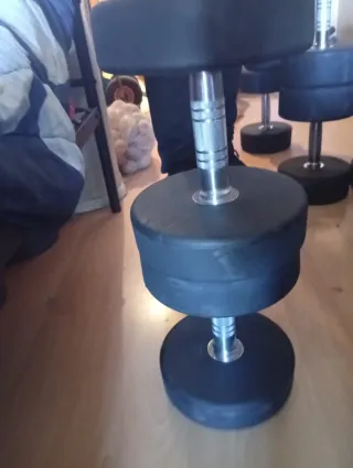 Mancuernas Ziva 24kg